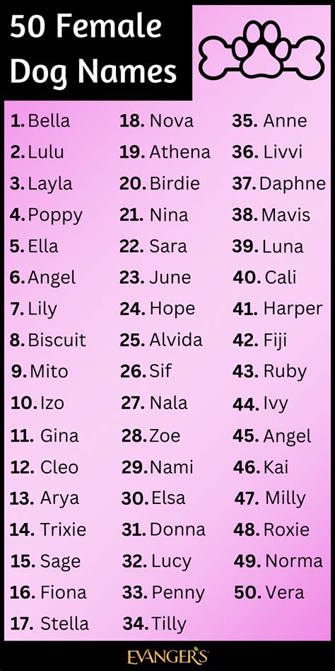 dog names similar to chloe